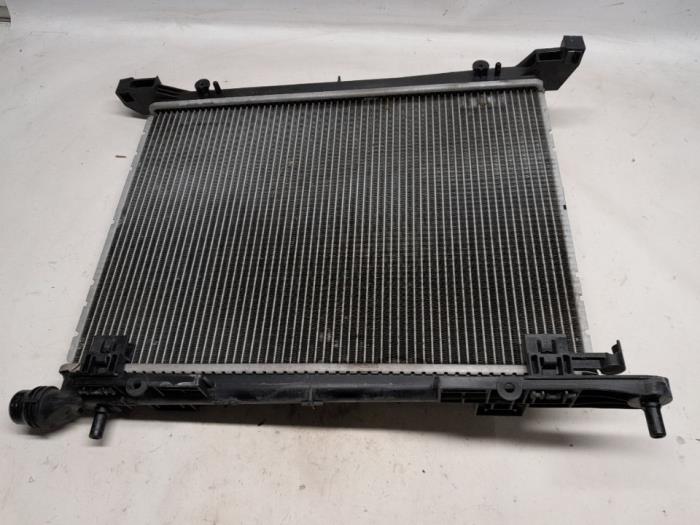 Radiateur van een Fiat Panda (312) 1.0 Hybrid 2022