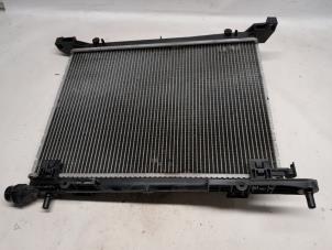 Radiateur van een Fiat Panda (312) 1.0 Hybrid 2022