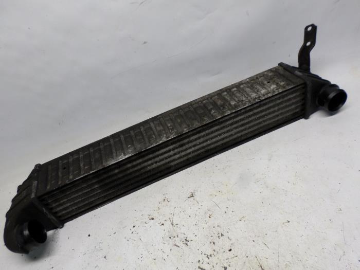 Gebruikte Intercooler Seat Alhambra (7V8/9) 1.9 TDi 115 Prijs € 21,00 Margeregeling aangeboden door Reclycar De Boer BV