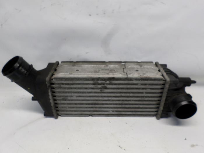 Gebruikte Intercooler Peugeot 307 Break (3E) 2.0 HDi 16V FAP Prijs € 21,00 Margeregeling aangeboden door Reclycar De Boer BV