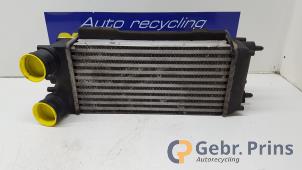 Gebruikte Intercooler Ford Fiesta 6 (JA8) 1.6 TDCi 16V 95 Prijs € 30,00 Margeregeling aangeboden door Autorec. Gebr. Prins b.v.