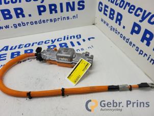 Gebruikte Pyrofuse Tesla Diversen Prijs € 150,00 Margeregeling aangeboden door Autorec. Gebr. Prins b.v.