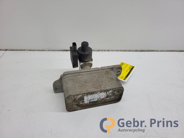 Gebruikte Airco Condensor Tesla Model X 90D Prijs € 50,00 Margeregeling aangeboden door Autorec. Gebr. Prins b.v.