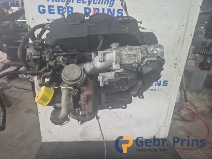 Gebruikte Motor Seat Ibiza III (6L1) 1.9 TDI 100 Prijs € 1.000,00 Margeregeling aangeboden door Autorec. Gebr. Prins b.v.