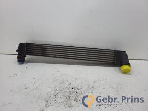 Gebruikte Intercooler Renault Megane III Grandtour (KZ) 1.5 dCi 110 Prijs € 30,00 Margeregeling aangeboden door Autorec. Gebr. Prins b.v.