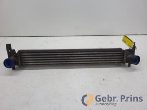 Gebruikte Intercooler Volkswagen Polo V (6R) 1.2 TDI 12V BlueMotion Prijs € 50,00 Margeregeling aangeboden door Autorec. Gebr. Prins b.v.