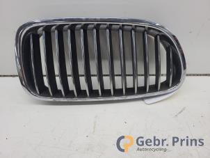 Gebruikte Grille BMW 5 serie (F10) 523i 24V Prijs € 20,00 Margeregeling aangeboden door Autorec. Gebr. Prins b.v.