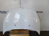 Ford Fiesta 6 (JA8) 1.6 16V Ti Motorkap