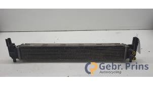 Gebruikte Intercooler Skoda Fabia II Combi 1.2 TSI Prijs € 50,00 Margeregeling aangeboden door Autorec. Gebr. Prins b.v.