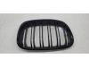 BMW 1 serie (F20) 114i 1.6 16V Bumper Rooster