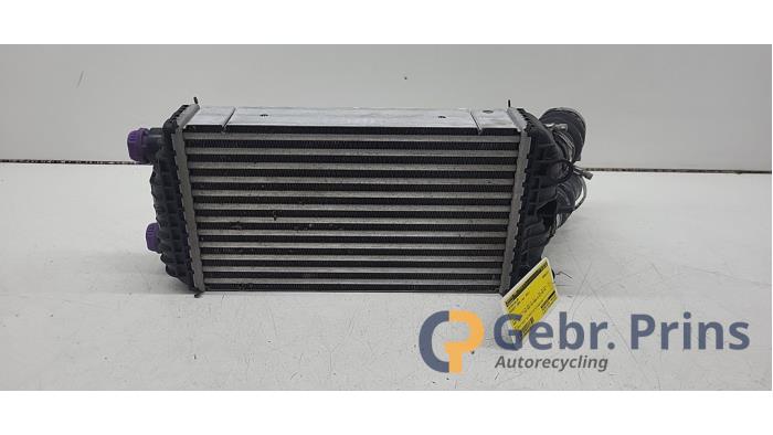 Gebruikte Intercooler Peugeot 2008 (UD/UK/UR/US/UX) 1.2 VTi 12V PureTech 130 Prijs € 75,00 Margeregeling aangeboden door Autorec. Gebr. Prins b.v.