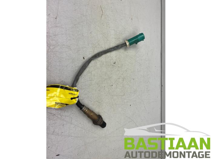 Gebruikte Lambda Sonde Ford Focus 2 Wagon 1.6 16V Prijs op aanvraag aangeboden door Bastiaan Autodemontage