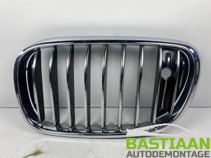 Gebruikte Grille BMW 7 serie (G11/12) Prijs € 49,99 Margeregeling aangeboden door Bastiaan Autodemontage