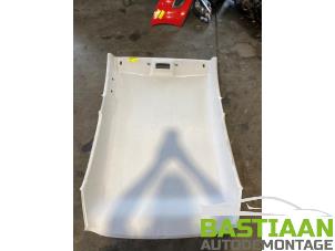 Gebruikte Hemelbekleding Skoda Citigo 1.0 12V Prijs € 99,99 Margeregeling aangeboden door Bastiaan Autodemontage