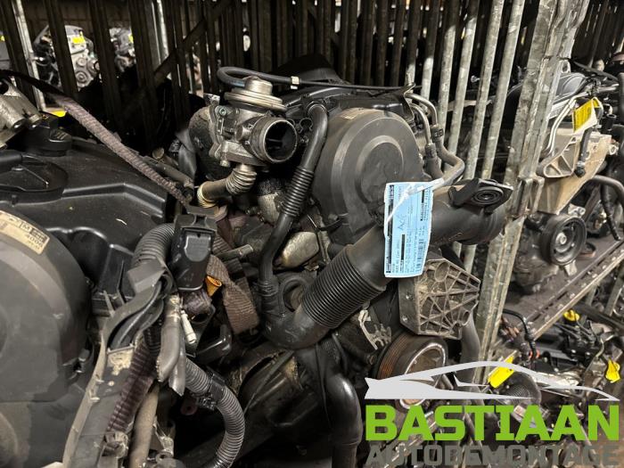Gebruikte Motor Audi A2 (8Z0) 1.4 TDI Prijs € 315,00 Margeregeling aangeboden door Bastiaan Autodemontage
