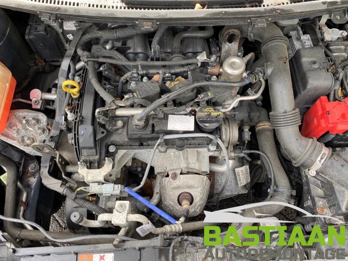 Gebruikte Kleppendeksel Ford Fiesta 6 (JA8) 1.0 Ti-VCT 12V 65 Prijs € 49,99 Margeregeling aangeboden door Bastiaan Autodemontage