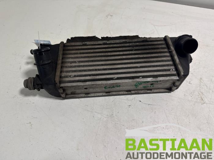 Gebruikte Intercooler Fiat Panda (312) 0.9 TwinAir Turbo 85 Prijs € 30,00 Margeregeling aangeboden door Bastiaan Autodemontage
