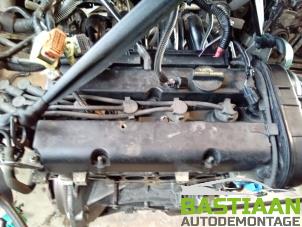 Gebruikte Motor Ford Fiesta 6 (JA8) 1.25 16V Prijs € 689,95 Margeregeling aangeboden door Bastiaan Autodemontage