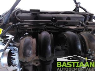 Gebruikte Motor Ford Fiesta 6 (JA8) 1.25 16V Prijs € 599,95 Margeregeling aangeboden door Bastiaan Autodemontage