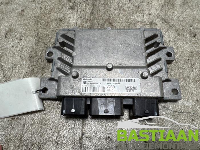 Gebruikte Computer Motormanagement Ford Fiesta 6 (JA8) 1.25 16V Prijs € 99,97 Margeregeling aangeboden door Bastiaan Autodemontage