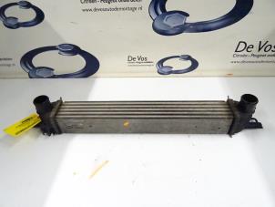 Gebruikte Intercooler Peugeot Bipper Prijs € 80,00 Margeregeling aangeboden door De Vos Onderdelen