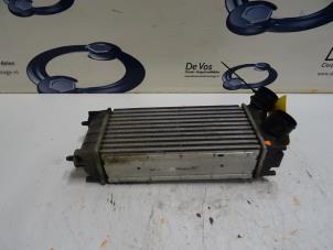 Gebruikte Intercooler Citroen C4 Picasso Prijs € 80,00 Margeregeling aangeboden door De Vos Onderdelen