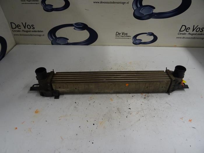 Gebruikte Intercooler Peugeot Bipper Prijs € 80,00 Margeregeling aangeboden door De Vos Onderdelen