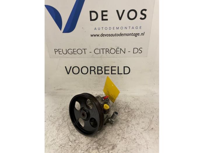 Gebruikte Servopomp Peugeot 406 Break (8E/F) 2.0 16V Prijs € 70,00 Margeregeling aangeboden door De Vos Onderdelen