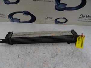 Gebruikte Intercooler Citroen Nemo (AA) 1.3 HDi 75 Prijs € 80,00 Margeregeling aangeboden door De Vos Onderdelen