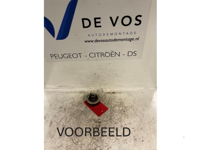 Gebruikte Spanrol Multiriem Peugeot 307 (3A/C/D) 1.6 HDi 16V Prijs € 20,00 Margeregeling aangeboden door De Vos Onderdelen