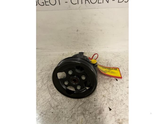 Gebruikte Pomp Servo Peugeot 406 Coupé (8C) 2.9 V6 24V Prijs € 90,00 Margeregeling aangeboden door De Vos Onderdelen