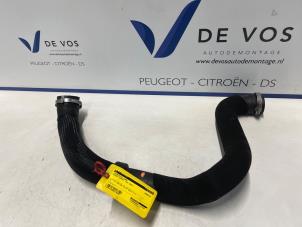 Gebruikte Intercooler Slang Peugeot Expert (V1/VA/VB/VE/VF/VT/VY) 2.0 Blue HDi 150 16V Prijs € 50,00 Margeregeling aangeboden door De Vos Onderdelen