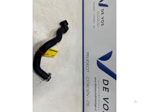 Gebruikte Radiateurslang Peugeot Expert (V1/VA/VB/VE/VF/VT/VY) 2.0 Blue HDi 145 16V Prijs € 20,00 Margeregeling aangeboden door De Vos Onderdelen
