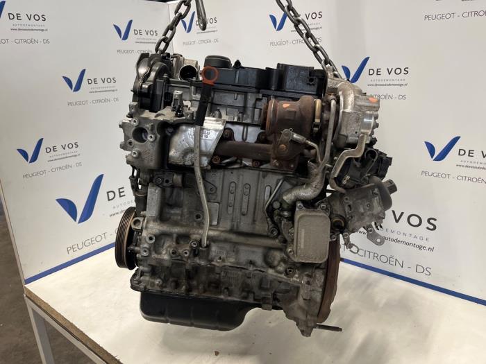 Gebruikte Motor Citroen C3 (SX/SW) 1.6 Blue HDi 75 16V Prijs € 2.000,00 Margeregeling aangeboden door De Vos Onderdelen