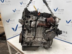 Gebruikte Motor Citroen Berlingo 1.6 Hdi 75 Prijs € 1.150,00 Margeregeling aangeboden door De Vos Onderdelen