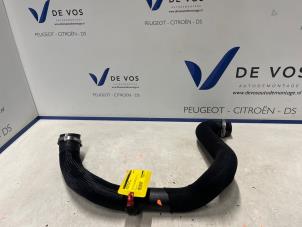 Gebruikte Intercooler Slang Peugeot Expert (V1/VA/VB/VE/VF/VT/VY) 2.0 Blue HDi 150 16V Prijs € 50,00 Margeregeling aangeboden door De Vos Onderdelen