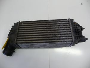 Gebruikte Intercooler Citroen C4 Picasso (UD/UE/UF) 2.0 HDiF 16V 135 Prijs € 80,00 Margeregeling aangeboden door De Vos Onderdelen