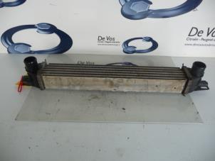 Gebruikte Intercooler Citroen Nemo (AA) 1.3 HDi 75 Prijs € 80,00 Margeregeling aangeboden door De Vos Onderdelen