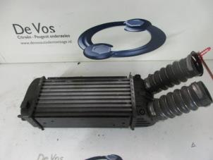 Gebruikte Intercooler Peugeot 207 Prijs € 100,00 Margeregeling aangeboden door De Vos Onderdelen