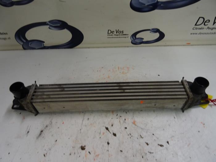 Gebruikte Intercooler Peugeot Bipper Prijs € 80,00 Margeregeling aangeboden door De Vos Onderdelen