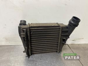 Gebruikte Intercooler Renault Twingo II (CN) 1.5 dCi 90 FAP Prijs € 36,75 Margeregeling aangeboden door Autoparts Pater