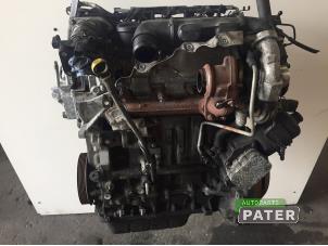 Gebruikte Motor Ford Fiesta 6 (JA8) 1.6 TDCi 16V Prijs € 472,50 Margeregeling aangeboden door Autoparts Pater
