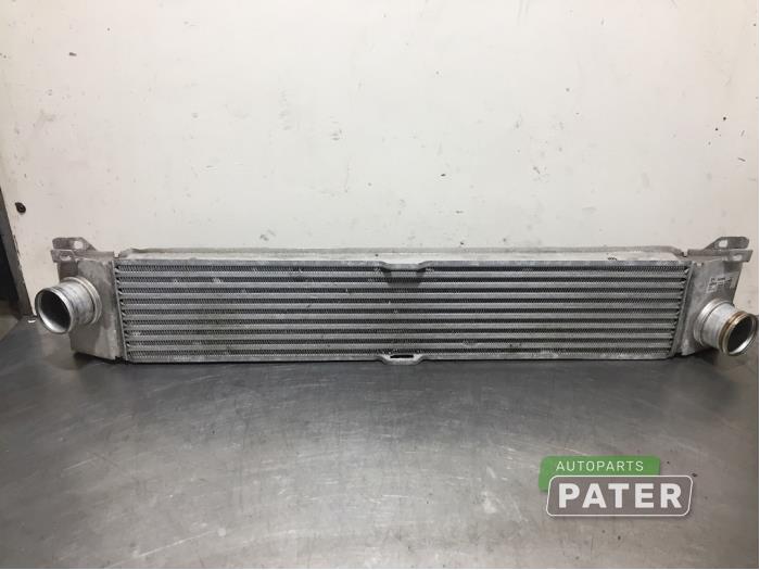 Gebruikte Intercooler Fiat Ducato (250) 2.3 D 130 Multijet Minibus Extralongo Prijs € 52,50 Margeregeling aangeboden door Autoparts Pater