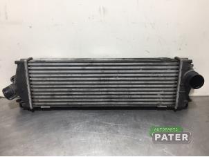 Gebruikte Intercooler Renault Trafic New (FL) 2.0 dCi 16V 115 Prijs € 63,00 Margeregeling aangeboden door Autoparts Pater