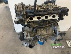 Gebruikte Motor Hyundai i20 (BC3) 1.2 16V Prijs € 787,50 Margeregeling aangeboden door Autoparts Pater
