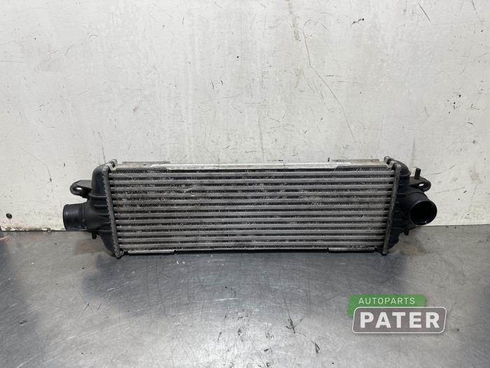 Gebruikte Intercooler Opel Vivaro 2.5 DTI 16V Prijs € 31,76 Inclusief btw aangeboden door Autoparts Pater