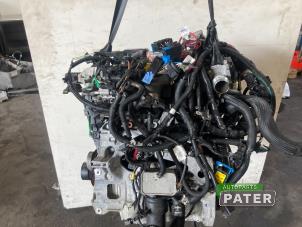 Gebruikte Motor Renault Express 1.5 dCi 75 Prijs € 2.731,58 Inclusief btw aangeboden door Autoparts Pater