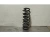 Audi Q3 (F3B) 1.4 45 TFSI e 16V Schroefveer achter