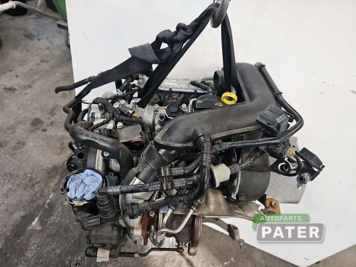 Gebruikte Motor Volkswagen Polo VI (AW1) 1.0 TSI 12V Prijs € 735,00 Margeregeling aangeboden door Autoparts Pater