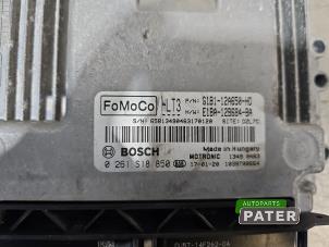 Gebruikte Computer Motormanagement Ford Fiesta 6 (JA8) 1.0 SCI 12V 80 Prijs € 105,00 Margeregeling aangeboden door Autoparts Pater